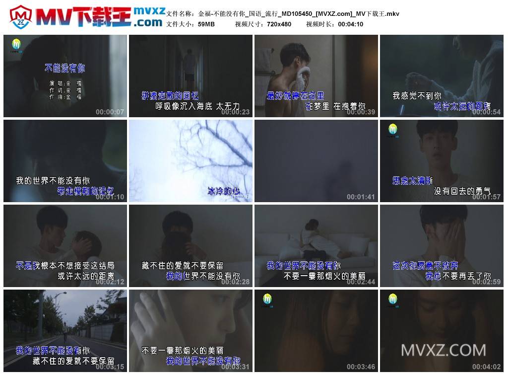 金福-不能没有你_国语_流行_MD105450